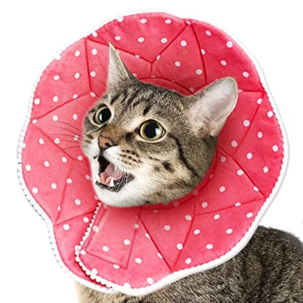 SunGrow Polka Dot Pet Soft Adjustable Recovery Cone | NWT | M | Pink White